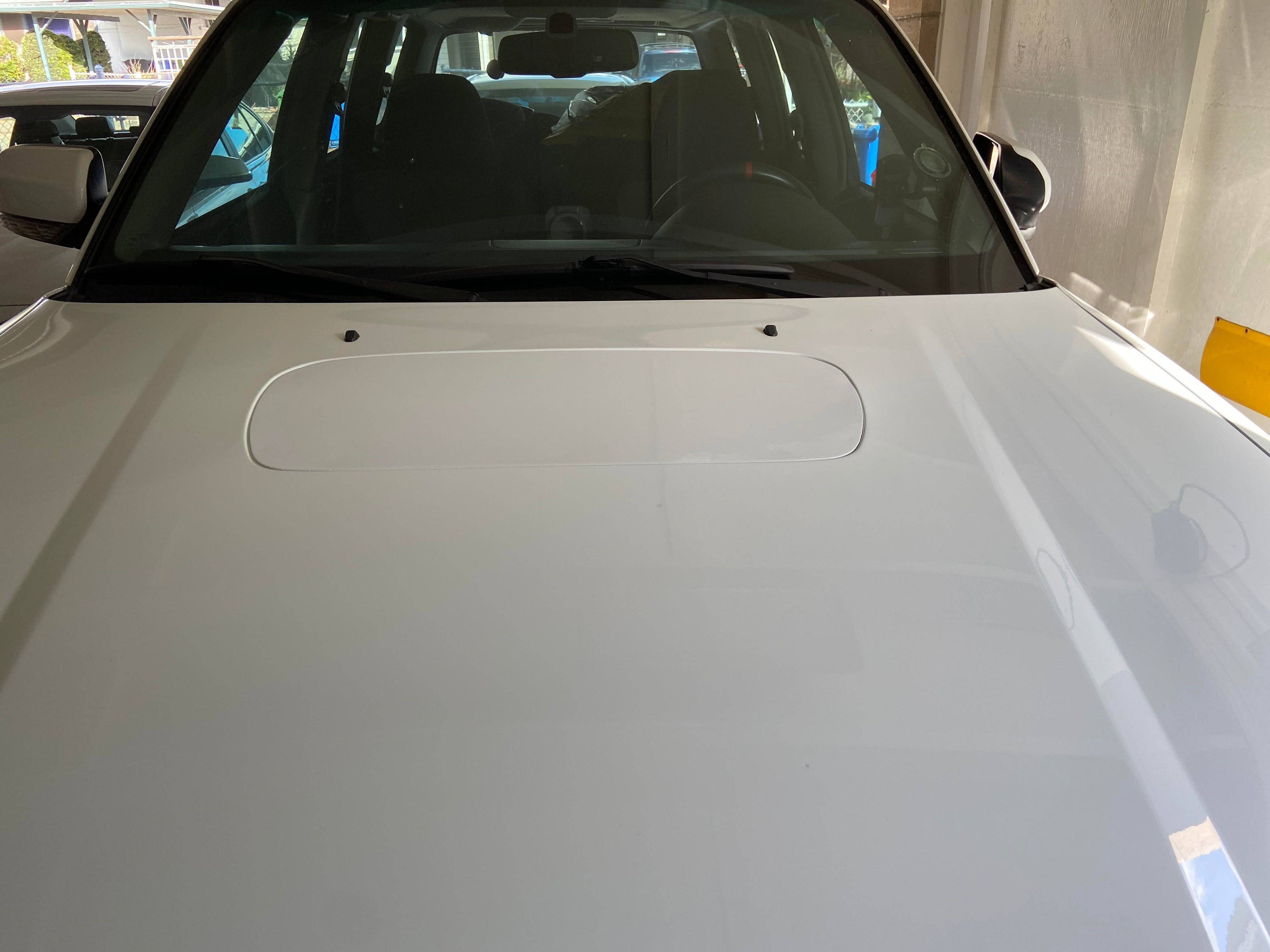 WRX/STI Scoop Delete Plate - 2002 / 2003 / FXT