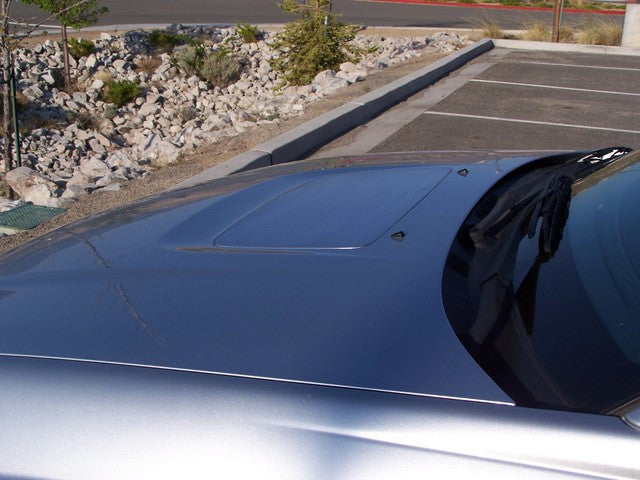 WRX/STI Scoop Delete Plate - 2004 / 2005